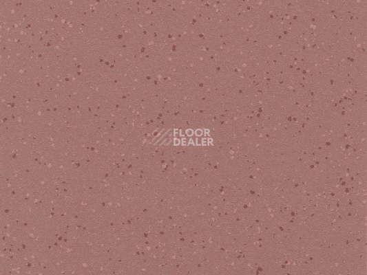 Линолеум Polyflor Polysafe Verona Pur 5217 Summer Coulis фото 1 | FLOORDEALER